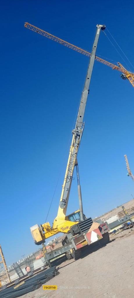 kardelen-vinc-sanliurfa-foto-galeri-4